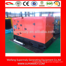 8kw-50kw small diesel generator price with Yangdong brands